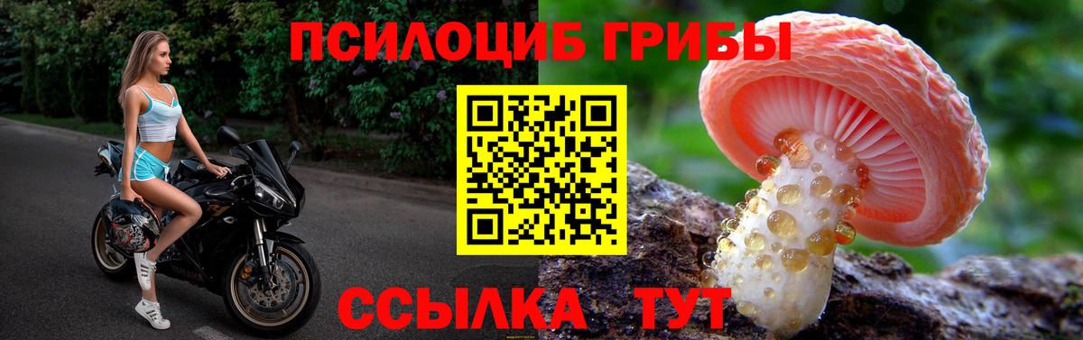 Елабуга  Псилоцибиновые грибы Magic Shrooms  Галлюциногенные грибы Psilocybe  Вход с VPN 
